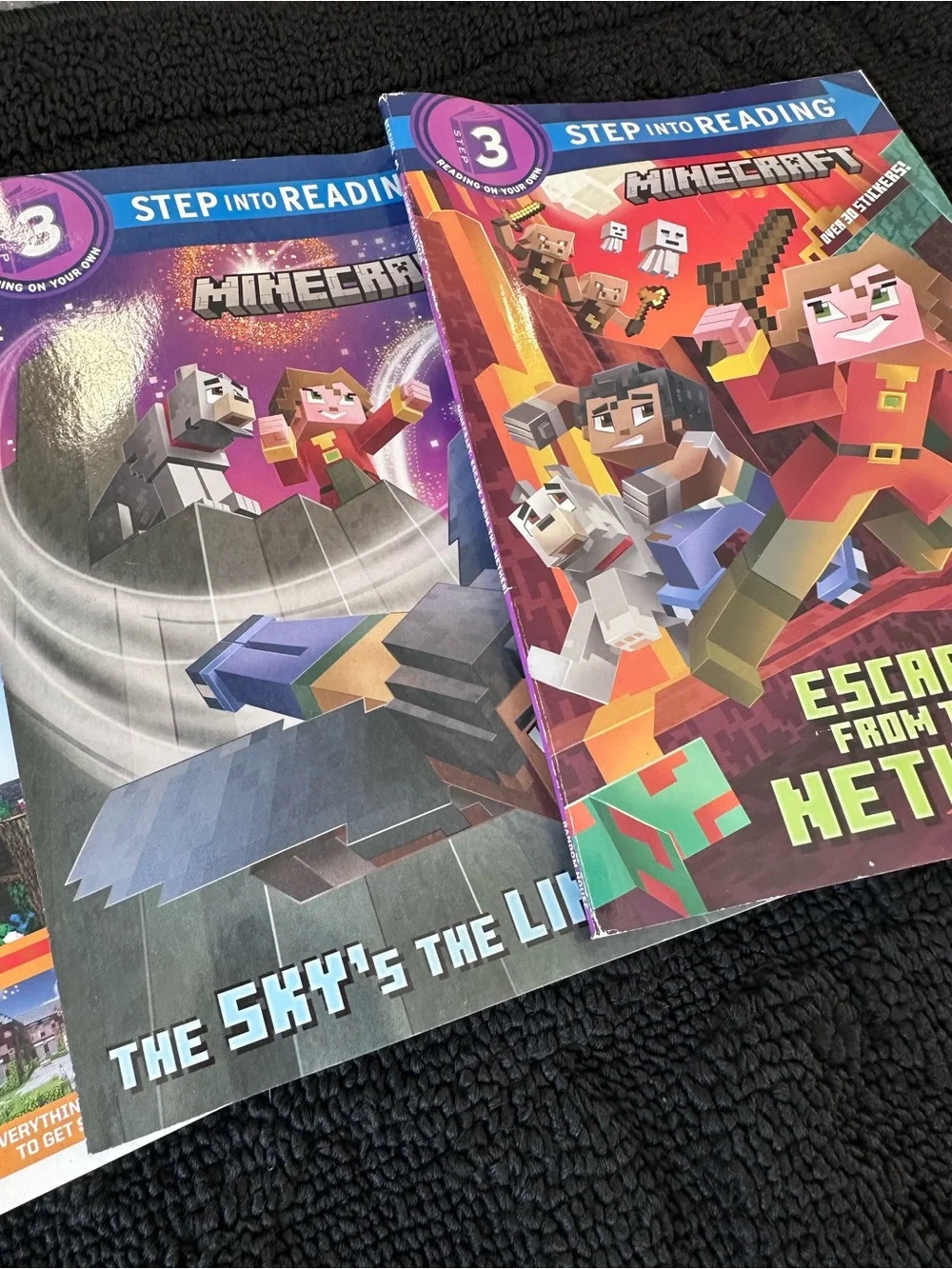 Minecraft Reading Books And Mega Build Tutorial Books, Like New